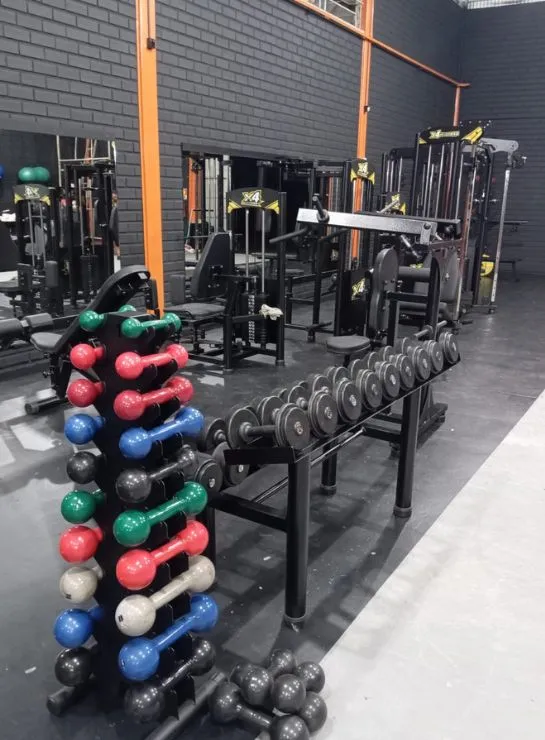 linha-de-halteres-x4-fitness-aparelhos-para-academias